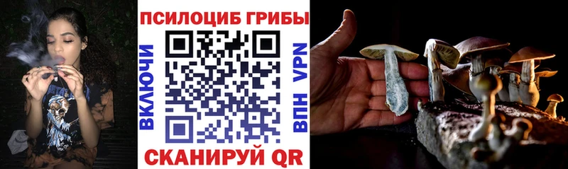 Галлюциногенные грибы GOLDEN TEACHER  закладки  Стерлитамак 