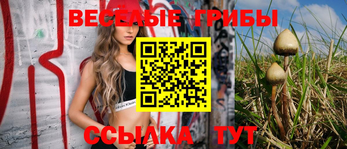 Галлюциногенные грибы Psilocybine cubensis Стерлитамак